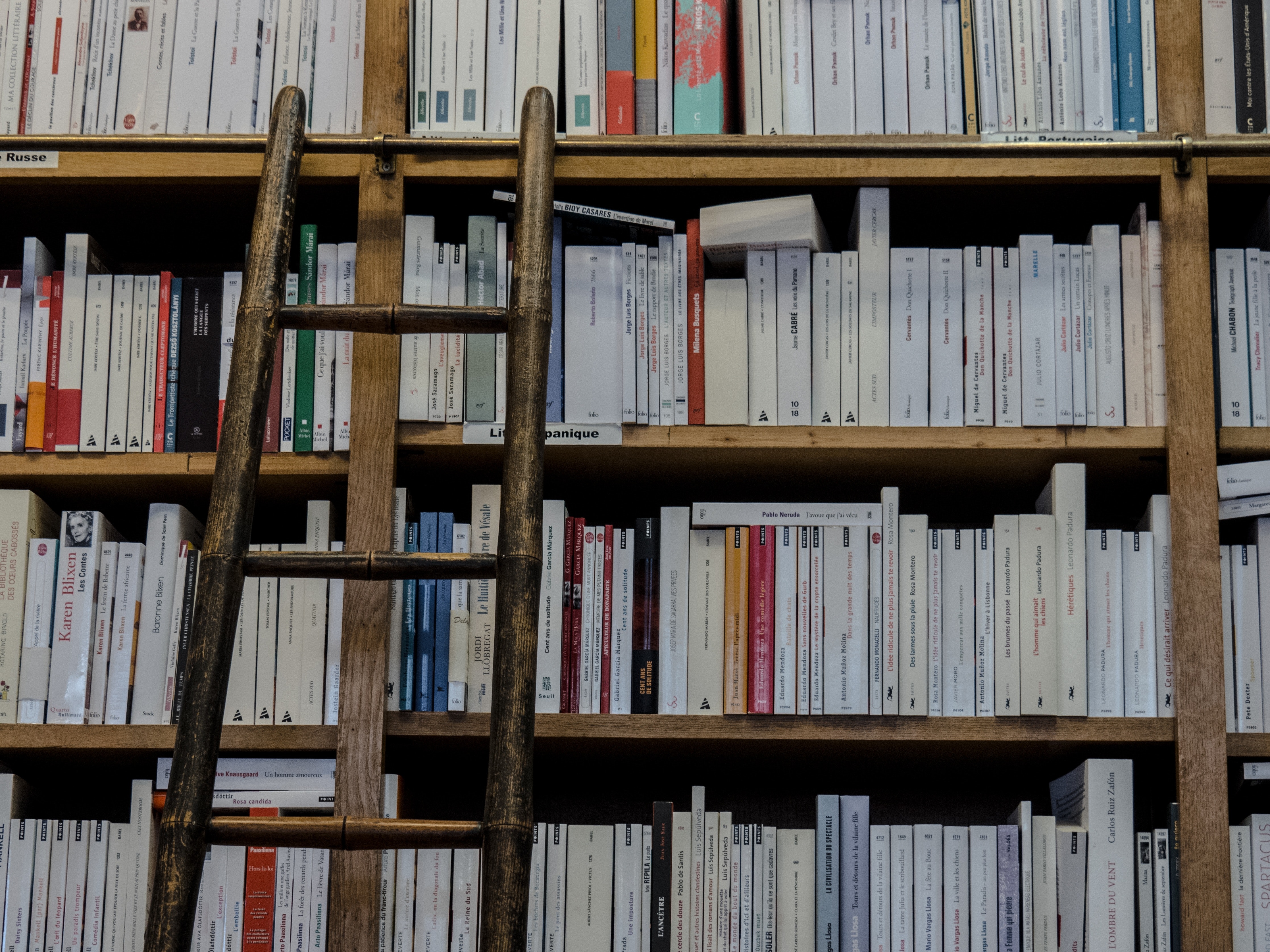 bookcase-books-bookshop-220326